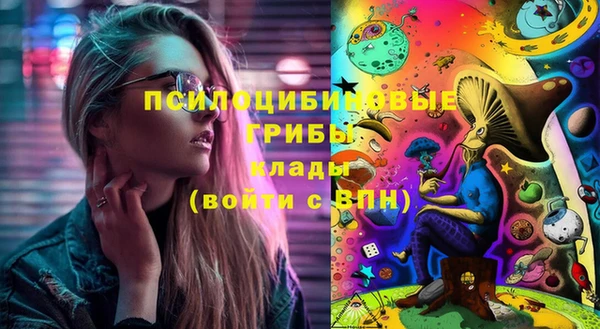 мяу мяу кристалл Верея